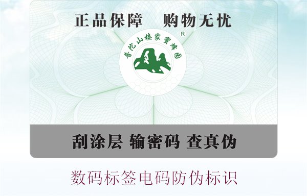 數(shù)碼標(biāo)簽電碼防偽標(biāo)識(shí)(圖1)