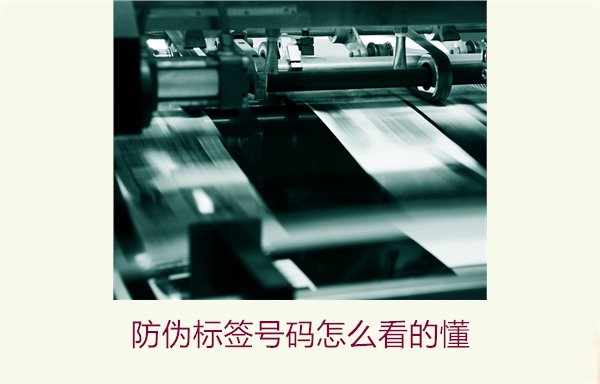 防偽標(biāo)簽號碼怎么看的懂？詳細(xì)解析防偽標(biāo)簽號碼的識別方法與技巧(圖1)