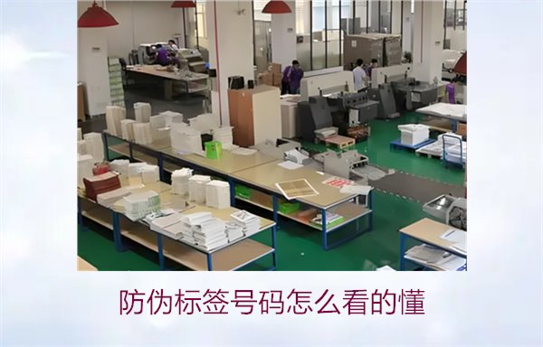 防偽標(biāo)簽號碼怎么看的懂？詳細(xì)解析防偽標(biāo)簽號碼的識別方法與技巧(圖2)