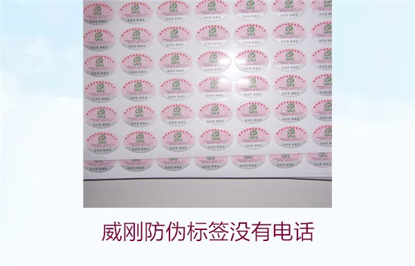 威剛防偽標(biāo)簽沒有電話，如何通過其他方式驗證威剛防偽標(biāo)簽的真?zhèn)?圖3)