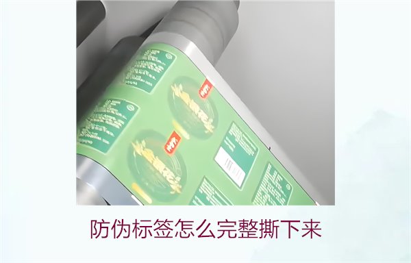 防偽標簽怎么完整撕下來？方法步驟詳解及注意事項(圖2)
